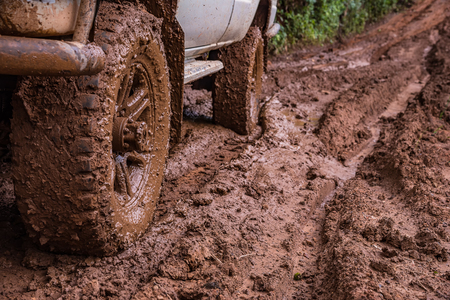 Building Your Own Mud Truck