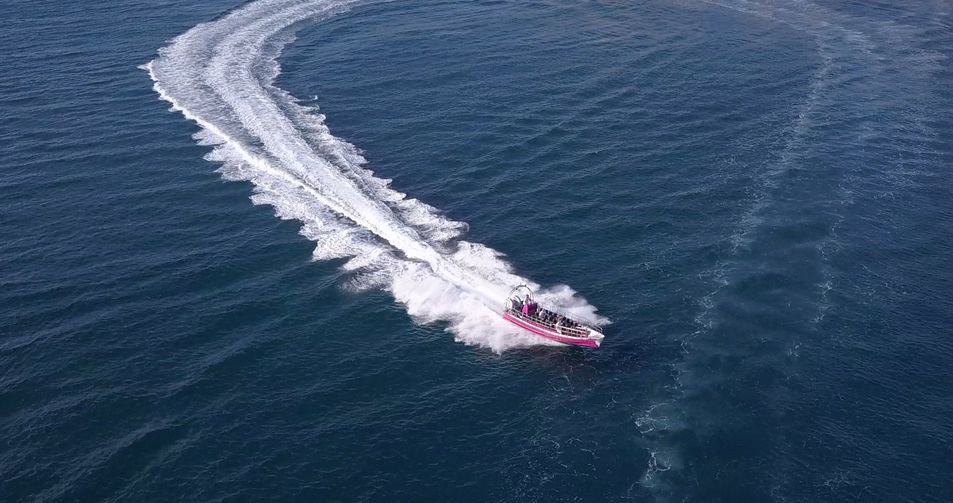 Speedboat racing in the water